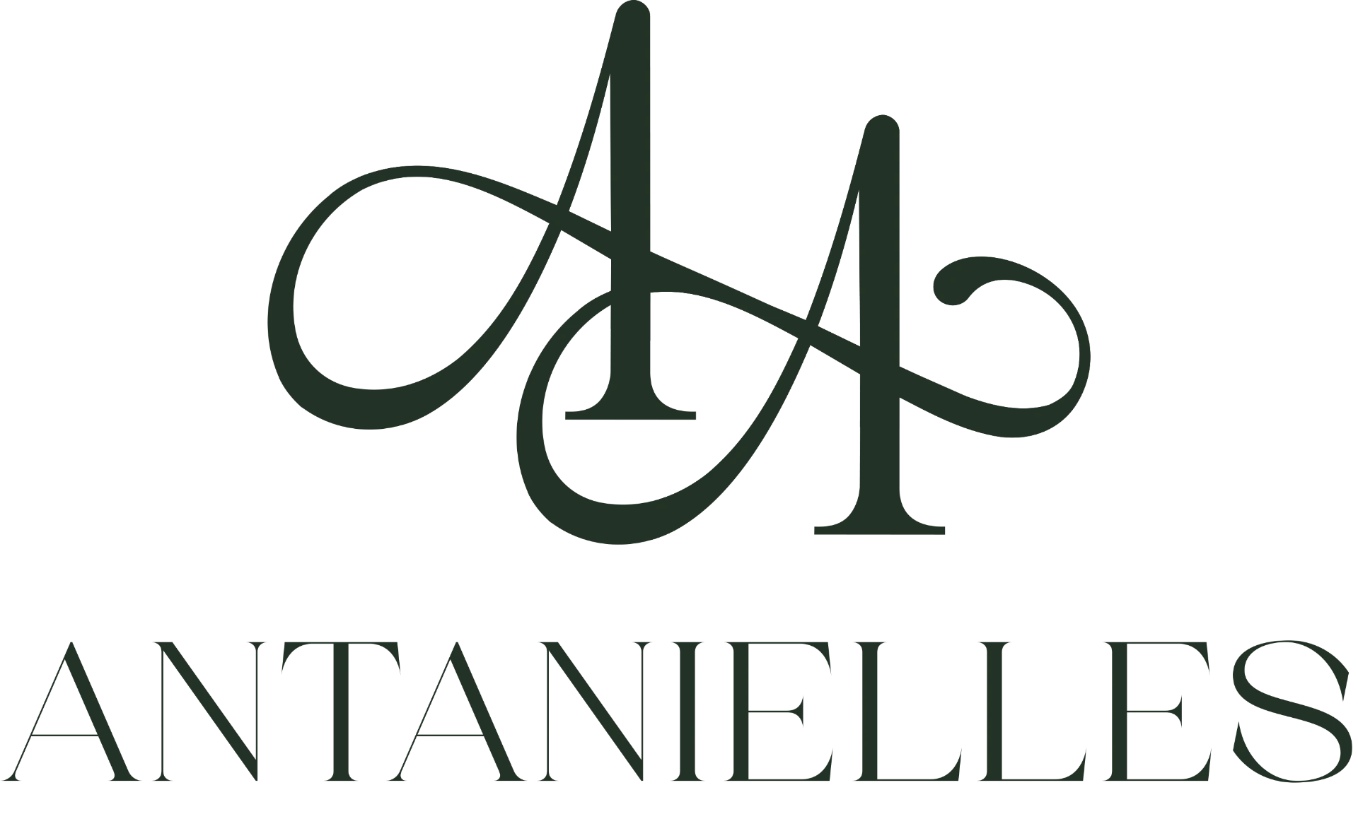 Logotipo Mi web
